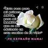 Profile Picture of maylinlima441 (@maylinlima441) on Tiktok