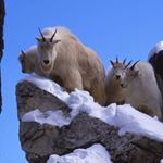 Profile Picture of Kam & Bing (@kamxbing) on Instagram