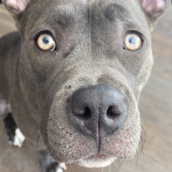 Profile Picture of Devron Hunter (@devronhunter59) on Poshmark