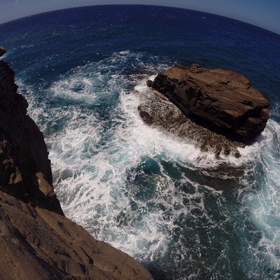 Profile Picture of Christopher Novak (@spittingcave808) on Twitter