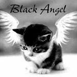 Profile Picture of Christian Scheibel (@christian.scheibel.7) on Instagram