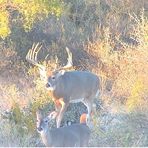 Profile Picture of Jeff Holly (@jeff.holly.58) on Facebook