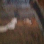 Profile Picture of Darrell Greene (@darrell.greene.505) on Instagram
