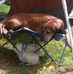 Profile Picture of Harold E. Waldrup (@harold.e.waldrup) on Facebook