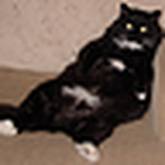 Profile Picture of Lee Anne And Kraig (@lee anne and kraig) on Flickr