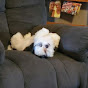 Profile Picture of Candy Daniels (@@candydaniels3) on Tiktok