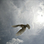 Profile Picture of the ashfield three's collection (@the ashfield three's collection) on Flickr