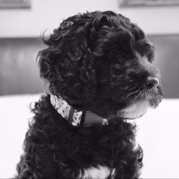 Profile Picture of Lilly Albert (@lillypad_cool) on Poshmark