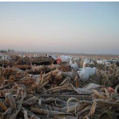 Profile Picture of Philip Baumann (@philip_baumann) on Twitter