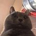 Profile Picture of Rong Gan (@rong.gan.56) on Facebook