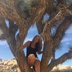 Profile Picture of Lisa Hutton (@lisa.hutton.3950) on Instagram