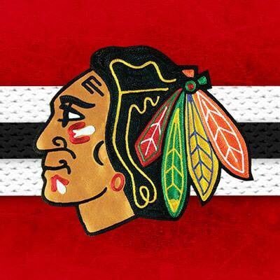 Profile Picture of Sean Brink (@SeanChicagoHawk) on Twitter