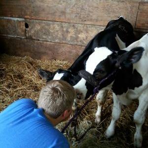 Profile Picture of Joseph Barrington (@552d593030f949e) on Twitter