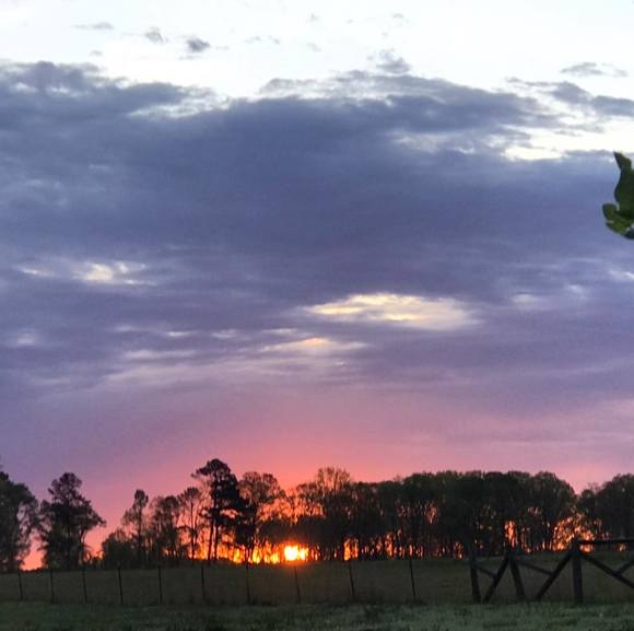 Profile Picture of Nancy Gowens (@nancygowens) on Poshmark