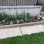 Profile Picture of J Rod Schroeder (@jrodschr) on Instagram