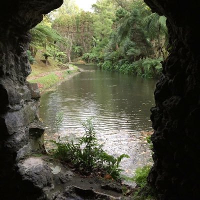 Profile Picture of Michelle Matthew (@MeechieMatthew) on Twitter