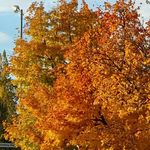 Profile Picture of André Neumayr (@neumayrandre) on Instagram