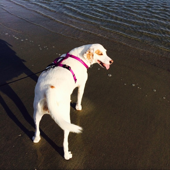 Lindsay Rothstein - Poshmark Profile Picture of Lindsay Rothstein (@lrothstein) on Poshmark