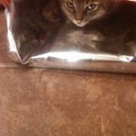 Profile Picture of Diane Cochran (@diane.cochran.50) on Instagram