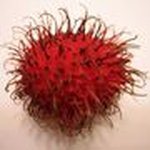 Profile Picture of Jerry Adamski (@jerrryo2211) on Instagram