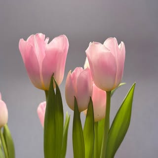 Profile Picture of Rison Lee (@rison_lee) on Instagram