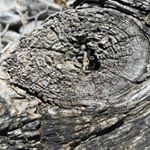 Profile Picture of steven goode (@goodesteven) on Instagram