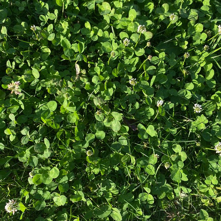 Profile Picture of Pa (@_paupaulette_) on Tiktok