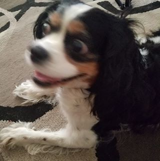 Profile Picture of Chris Palomarez (@chris.palomarez.77) on Facebook