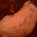 Profile Picture of Danny Furlow (@danny.furlow.906) on Facebook
