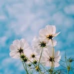 Profile Picture of Jacob Pochin (@Jacob-Pochin) on Facebook