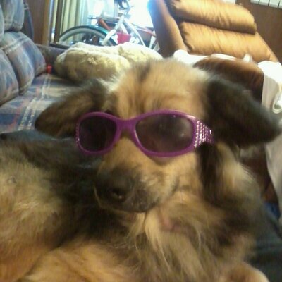 Profile Picture of Travis Burris (@travisburris48) on Twitter