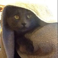 Profile Picture of Sandy Simon (@sandy-simon-12) on Quora