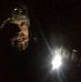 Profile Picture of Jesse Howard (@jesse.howard.3551) on Facebook