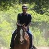 Profile Picture of Josh Sampson (@@the_western_rider_joshie) on Tiktok