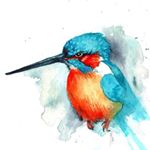 Profile Picture of Catherine Boyer (@boyer.catherine) on Instagram