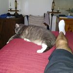 Profile Picture of Guy Archambault (@garchambault93) on Instagram