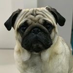 Profile Picture of Bento Luís (@obentolino) on Instagram