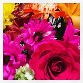 Profile Picture of Johanna Figueroa Lopez (@jflopez) on Pinterest