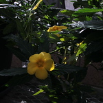 Profile Picture of Hailey Fischer (@hailebug3339) on Flickr