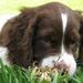 Profile Picture of Brandon Biese (@football1714) on Pinterest