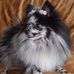 Profile Picture of Lucy Honeycutt (@lucy.honeycutt.731) on Facebook
