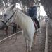 Profile Picture of Yacine Haddak (@yacine.haddak) on Facebook