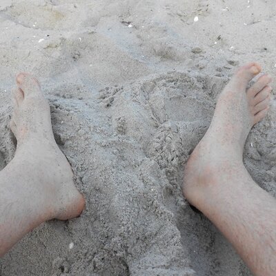 Profile Picture of Michael Schiro (@TomGordy) on Twitter