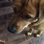 Profile Picture of Danny Hice (@hice_daniel) on Instagram
