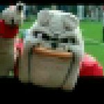 Profile Picture of Christopher Bishop (@christopher.bishop.750) on Instagram