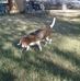 Profile Picture of Janet Blake (@janet.blake.948494) on Facebook