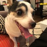 Profile Picture of Keely Campbell (@keelycampbell60) on Instagram