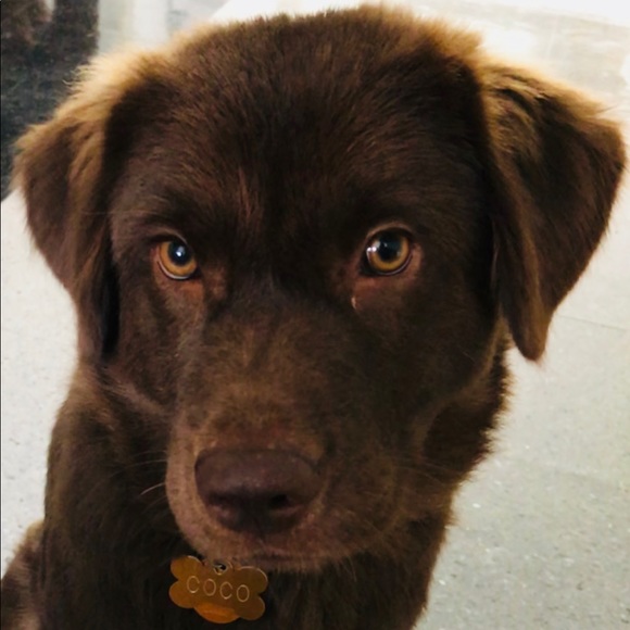 Profile Picture of Ava Herring (@fish_person) on Poshmark