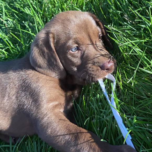 Profile Picture of Andrew Abeyta (@abeytaxavier58) on Poshmark