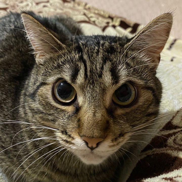 Profile Picture of barylin (@barylin) on Tiktok